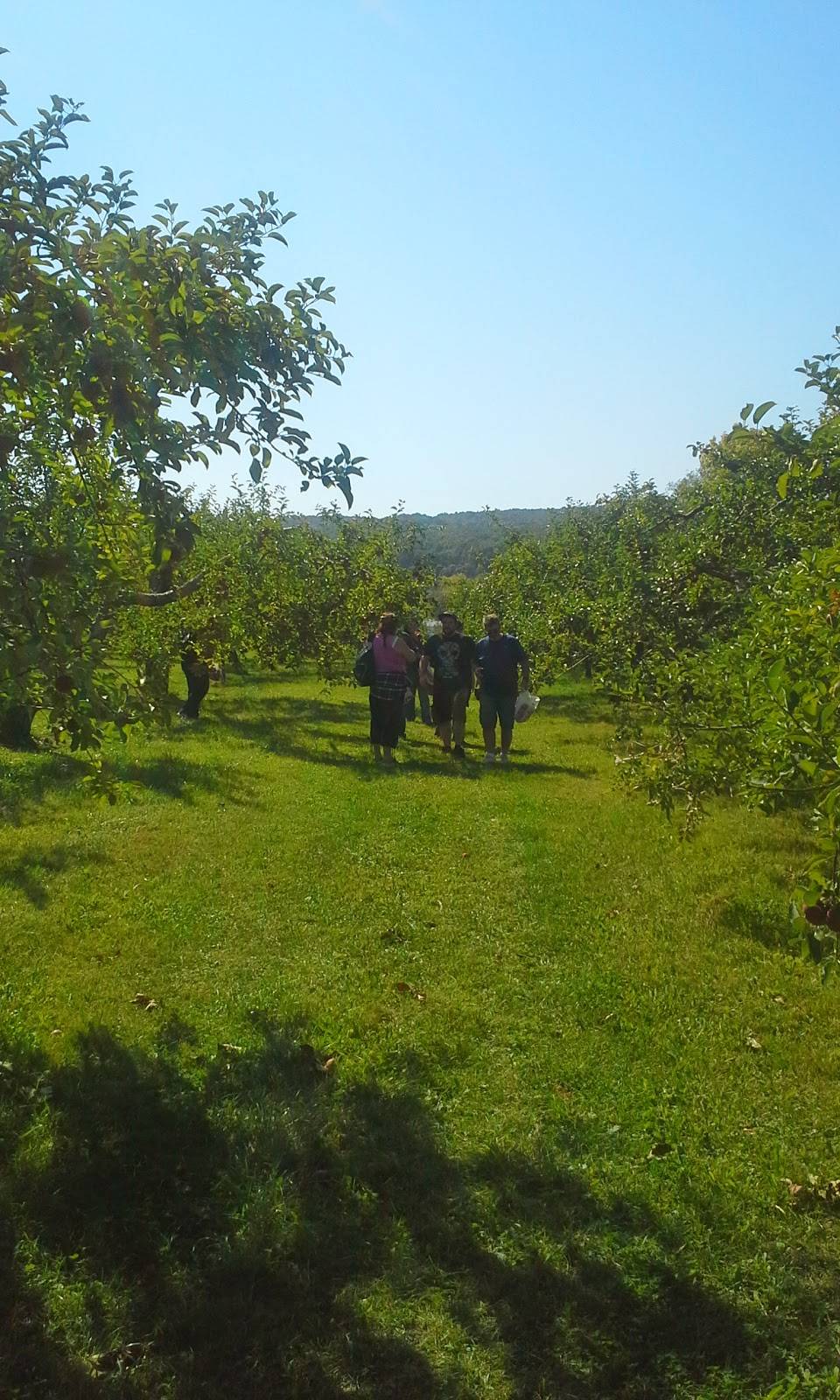 TARTERIE DU VERGER DES MUSIQUES INC. | restaurant | 854 Chemin Principal, Saint-Joseph-du-Lac, QC J0N 1M0, Canada | 4506234889 OR +1 450-623-4889