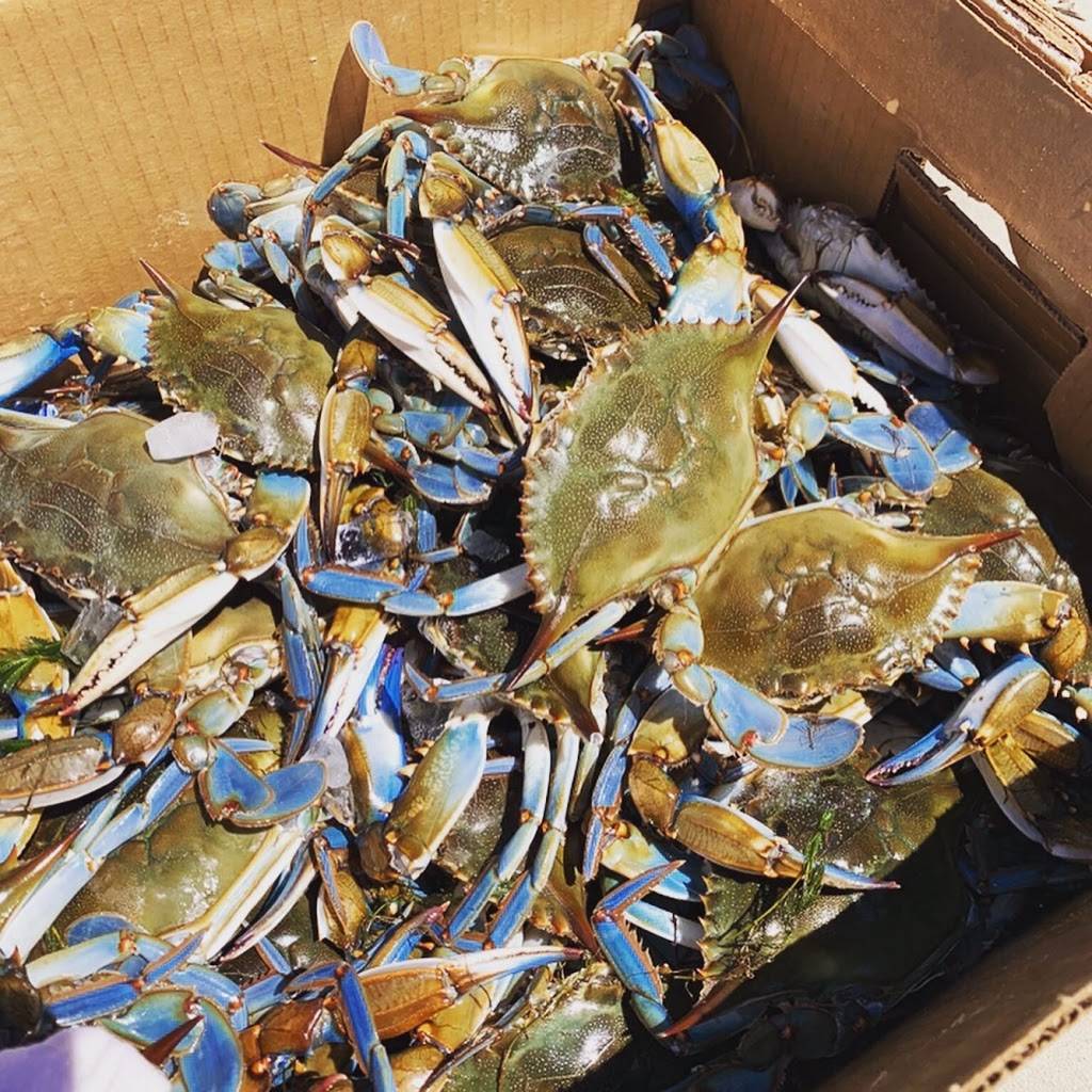 South Coast Seafood & Distribution | restaurant | 6225 Robertson Ave, Nashville, TN 37209, USA | 6158131549 OR +1 615-813-1549