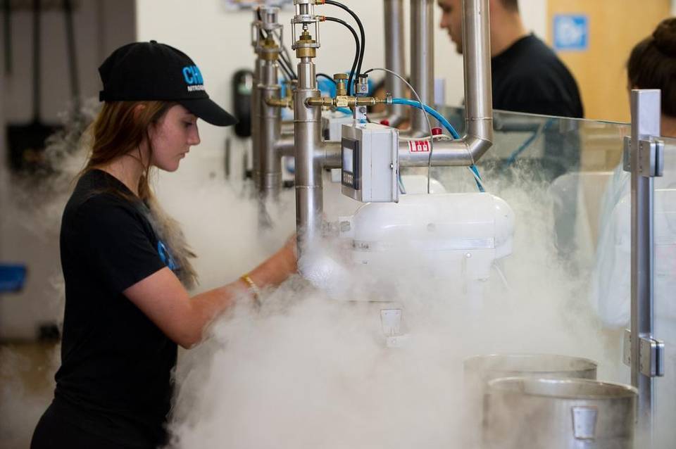 Chill-N Nitrogen Ice Cream South Miami | restaurant | 7316 SW 57th Ave, South Miami, FL 33143, USA | 3057638164 OR +1 305-763-8164