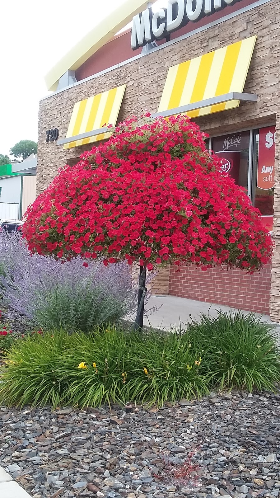 McDonalds | restaurant | 720 Cleveland St, Rapid City, SD 57701, USA | 6053436984 OR +1 605-343-6984